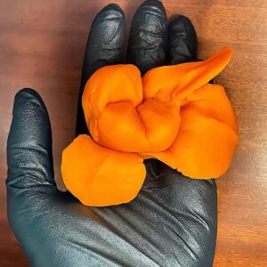 La Cinta – La forma de la vida (Tomo 1)